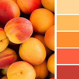 Примеры сочетания оранжевого цвета