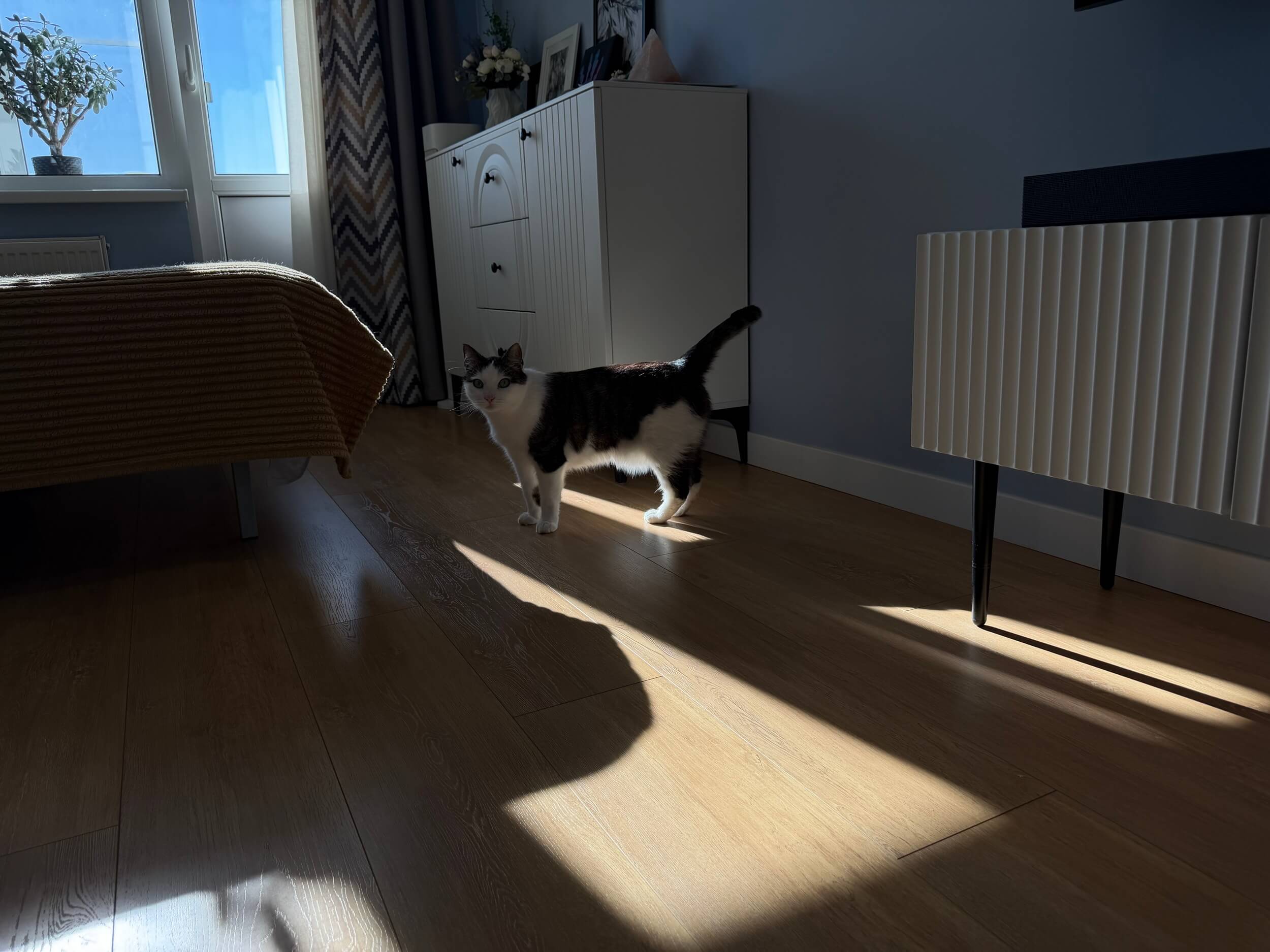 Ламинат под свтлое дерево в гостиной